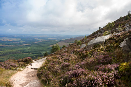 Mountain landscape in Aberdeenshire, Scotland, UK. Hiking trail with scenic view.の写真素材