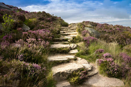 Mountain landscape in Aberdeenshire, Scotland, UK. Hiking trail with scenic view.の写真素材