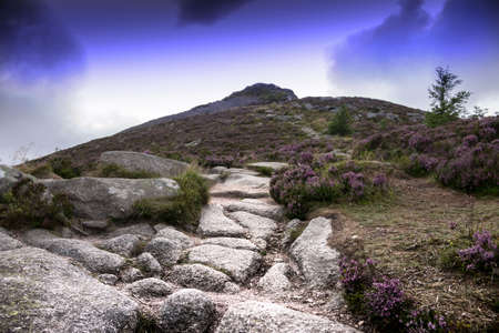 Mither Tap of Bennachie in Aberdeenshire, Scotland, UK. Hiking trail with scenic view.の写真素材
