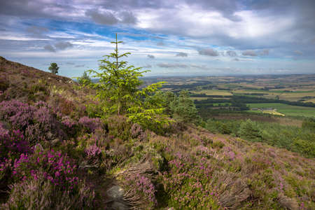 Mountain landscape in Aberdeenshire, Scotland, UK. Hiking trail with scenic view.の写真素材