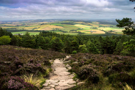 Mountain landscape in Aberdeenshire, Scotland, UK. Cairngorm Mountains.の写真素材