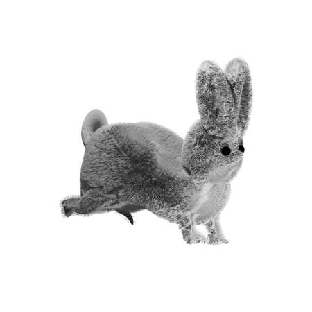 Baby rabbit isolated on white background. 3D render illustration.の写真素材