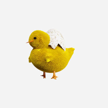 Baby chicken with egg isolated on white background. 3D render illustration.の写真素材