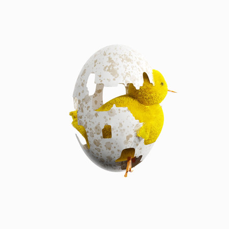 Baby chicken with egg isolated on white background. 3D render illustration.の写真素材