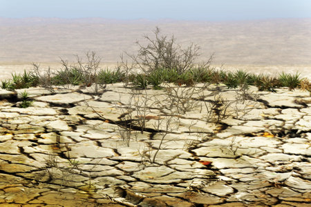 Dry cracked soil. Climate change, global warming and environmental issues concept.の写真素材