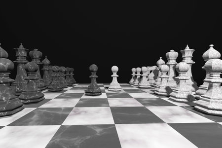 Chess pieces on the chessboard. Teamwork and competition concept. First move idea.の写真素材