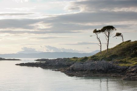 Trees by bay at Arisaig looking west toward the island of Skye, Scotland, midsummerの写真素材