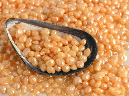 bath caviarの写真素材