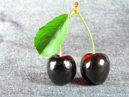 black cherryの写真素材