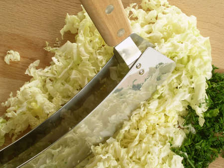 cabbageの写真素材