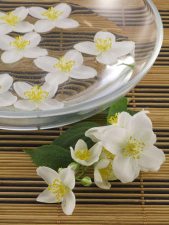 Jasmineの写真素材