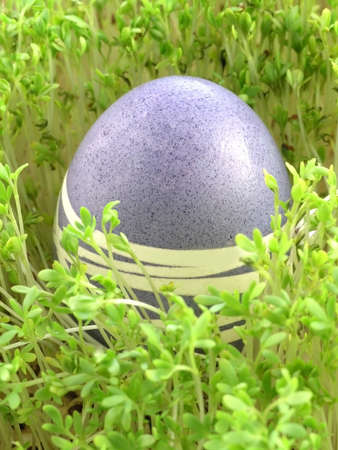colourful Easter Eggs on a green backgroundの写真素材