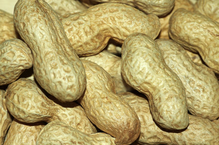 peanutsの写真素材