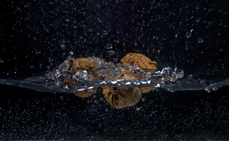 walnut water splashの写真素材
