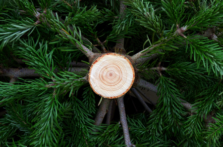 Christmas tree