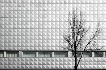 hausfassade treeの写真素材