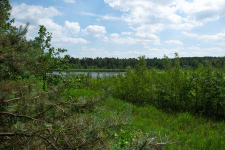 View of Lake KaraÅ on the Sobieszewo Islandの写真素材