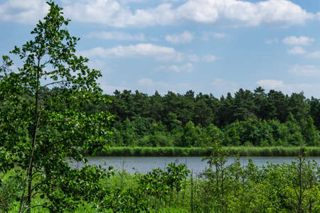 Panorama of Lake KaraÅ on Sobieszewska Islandの写真素材