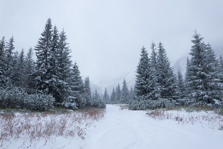 Winter mountain trail in the Tatra Mountains leading to Czerwone Wierchyの写真素材