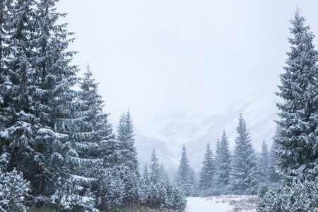 Winter mountain trail in the Tatra Mountains leading to Czerwone Wierchyの写真素材