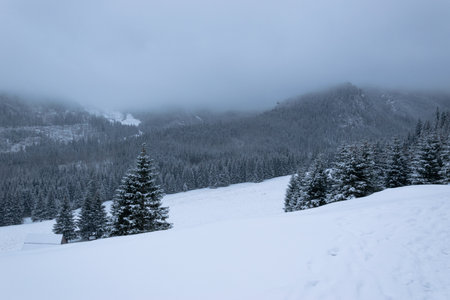 Winter mountain trail in the Tatra Mountains leading to Czerwone Wierchyの写真素材