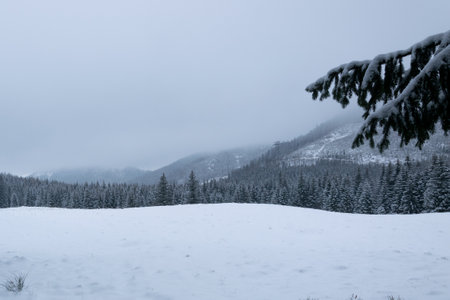 Winter mountain trail in the Tatra Mountains leading to Czerwone Wierchyの写真素材