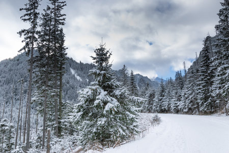 Winter trail to Morskie Oko in the Tatra Mountainsの写真素材