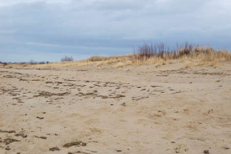A spring beach on the Sobieszewo Islandの写真素材