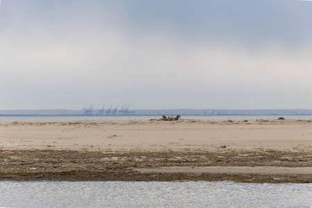 A spring beach on the Sobieszewo Islandの写真素材