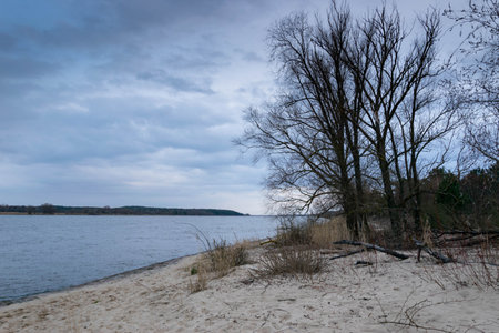 Spring on the Sobieszewo islandの写真素材