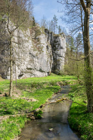 A stream among trees in the OjcÃ³w National Parkの写真素材