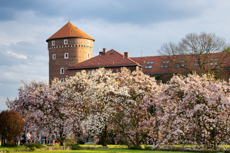 Wawel Royal Castle in flowersのeditorial素材