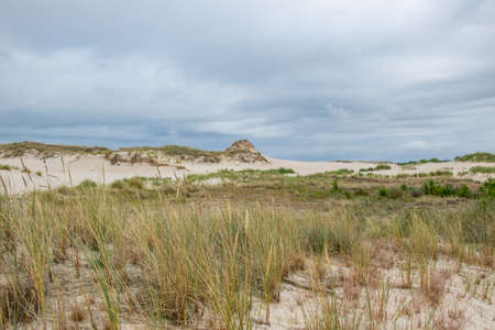 Moving dunes in the SÅowiÅski National Parkの写真素材