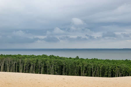 Moving dunes in the SÅowiÅski National Parkの写真素材