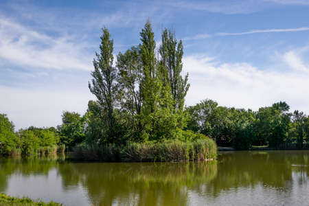 City park with a pond and a fountain. Zorbig, Germany. A small island in the middle of the pond.の写真素材