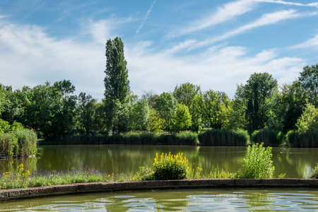City park with a pond and a fountain. Zorbig, Germany. A small island in the middle of the pond.の写真素材