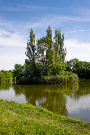 City park with a pond and a fountain. Zorbig, Germany. A small island in the middle of the pond.の写真素材