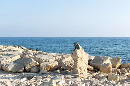 Paphos, Cyprus. A sculpture of a woman paying tribute to Aphrodite. Rocks on the seaside boulevard.の写真素材