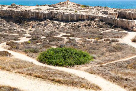 Archaeological Park. Paphos, Cyprus. Archaeological Site of Nea Paphos. Ruins of the ancient Roman and Greek cities.の写真素材