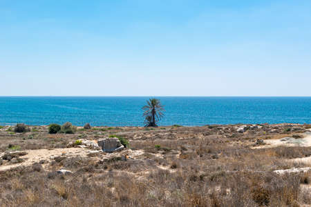 Archaeological Park. Paphos, Cyprus. Archaeological Site of Nea Paphos. Ruins of the ancient Roman and Greek cities.の写真素材