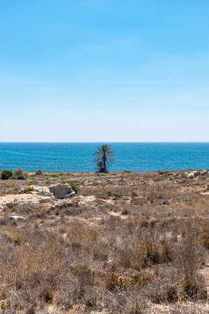 Archaeological Park. Paphos, Cyprus. Archaeological Site of Nea Paphos. Ruins of the ancient Roman and Greek cities.の写真素材