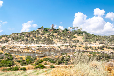 Road to Avakas Gorge. Palm trees and low trees by the sandy road. Akamas Peninsula, Cyprus.の写真素材