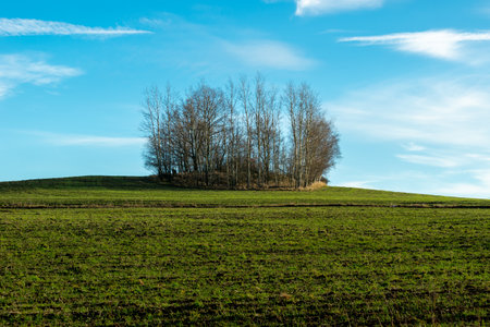 Landscape with trees against the blue sky. Light and shadow. Rudawy Janowickie, Poland.の写真素材