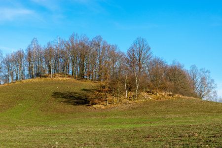 Landscape with trees against the blue sky. Light and shadow. Rudawy Janowickie, Poland.の写真素材