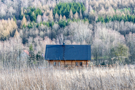 A hut among trees and plants. landscape.の写真素材