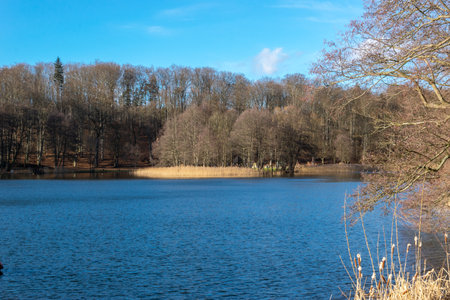 Landscape. Lake Klasztorne MaÅe, view of the island. Kartuzy, Poland.の写真素材