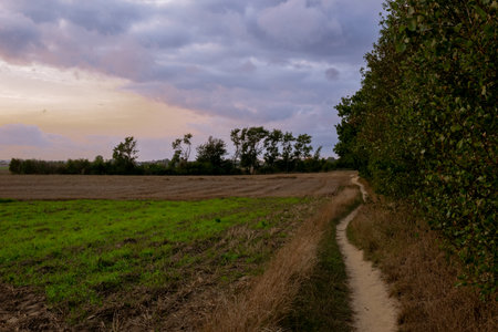 Landscape with a dirt road in the middle of the field.の写真素材