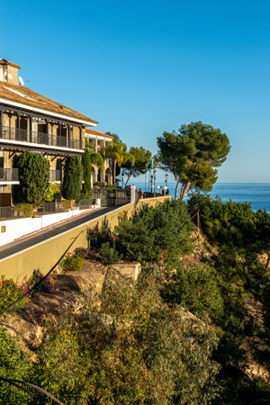 Sea view from the terrace of the villa. A slope covered with trees.の写真素材