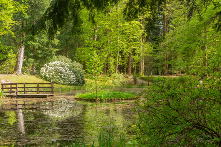 Beautiful spring landscape with pond, trees and bench in the parkの写真素材