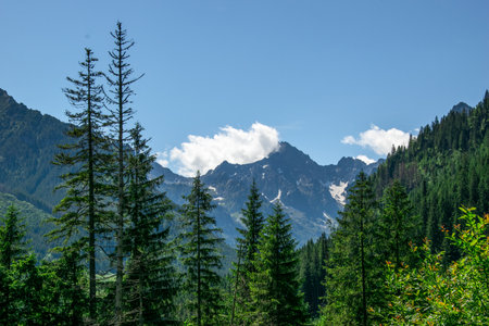 Mountain landscape with coniferous forest and high peaks in the background. Hiking trail, Tatra Mountains, Poland.の写真素材